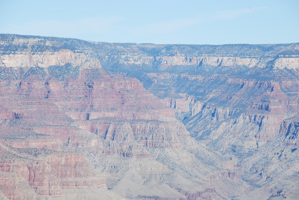 DSC_1871.JPG